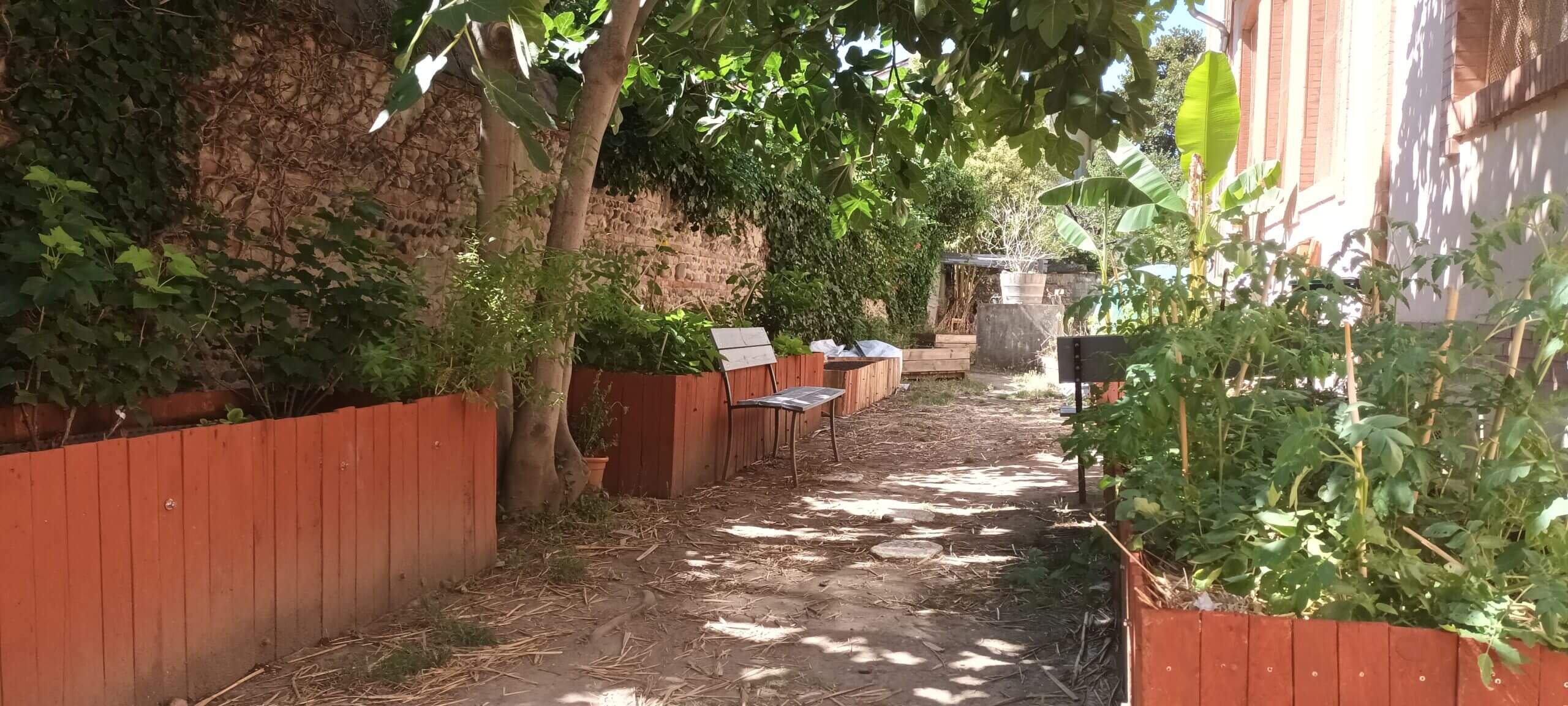 Une photographie du jardin de l'école des Amidonniers