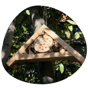 visuel maison à abeilles